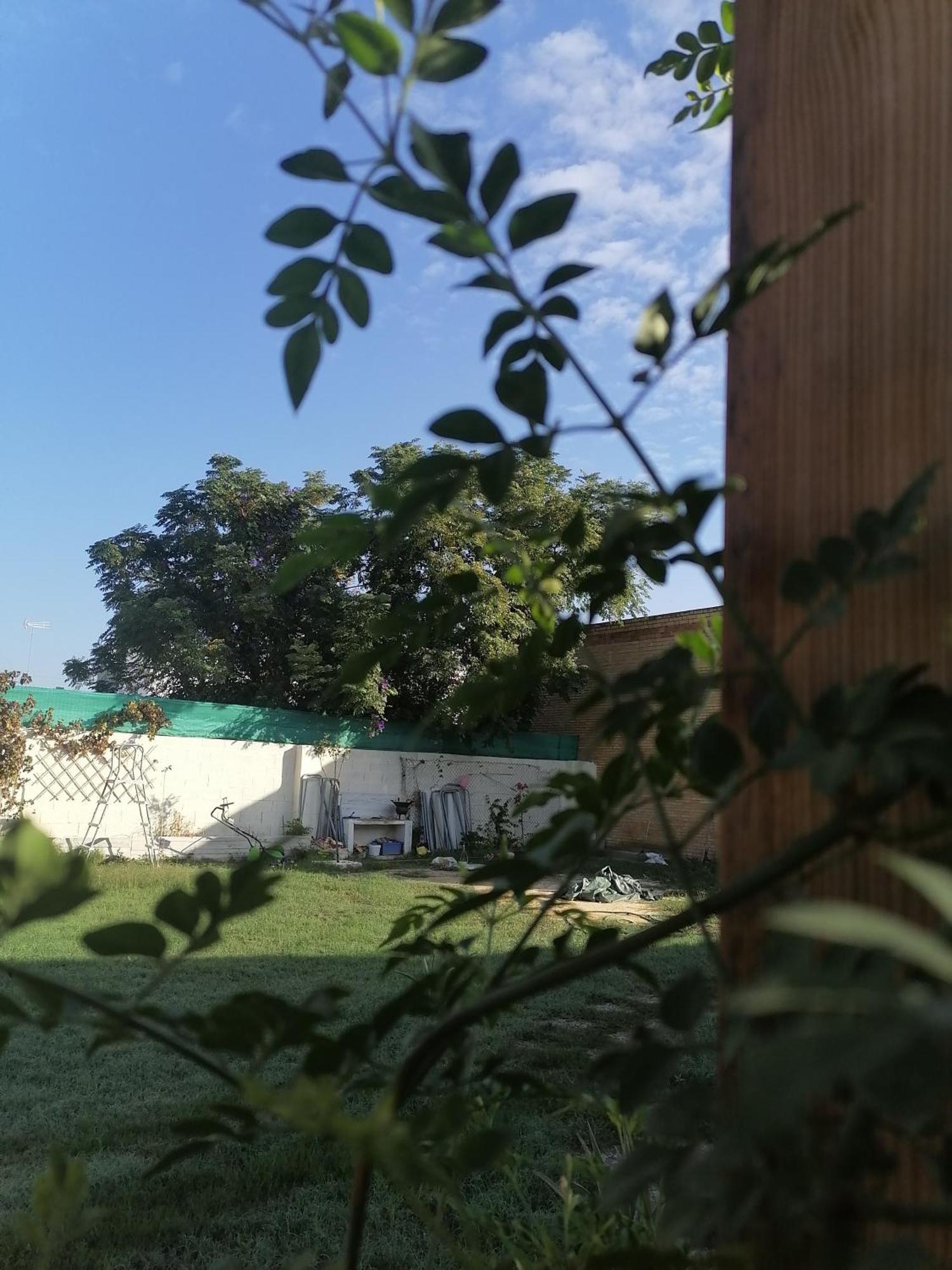 Cabana El Salto Del Duende Vila Carrion de Los Cespedes Exterior foto